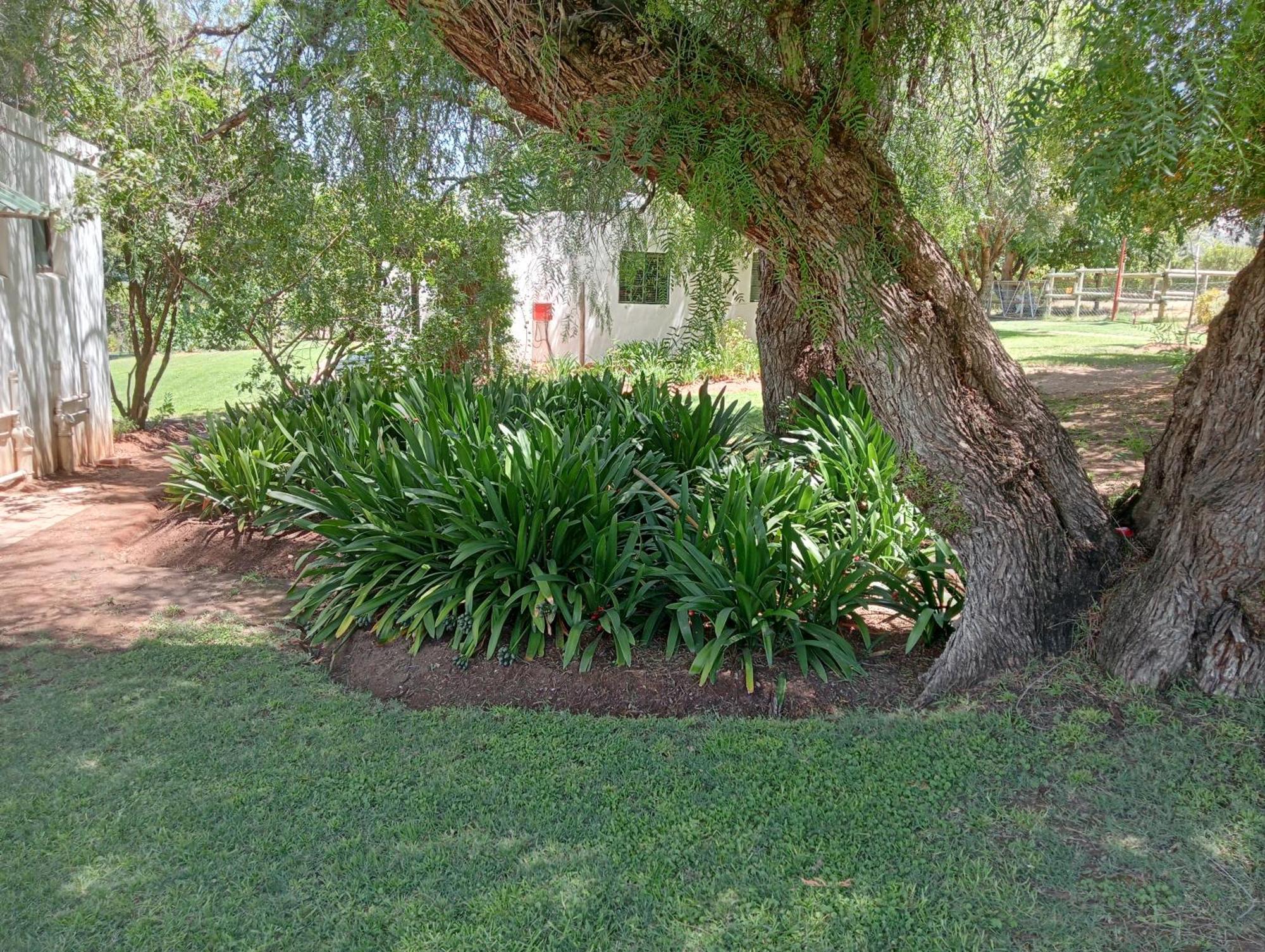 Kranskloof Country Lodge Oudtshoorn Exterior foto