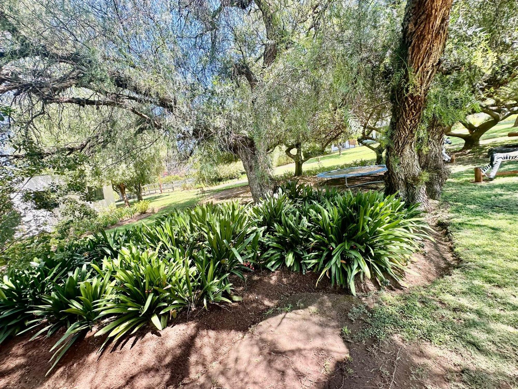 Kranskloof Country Lodge Oudtshoorn Exterior foto